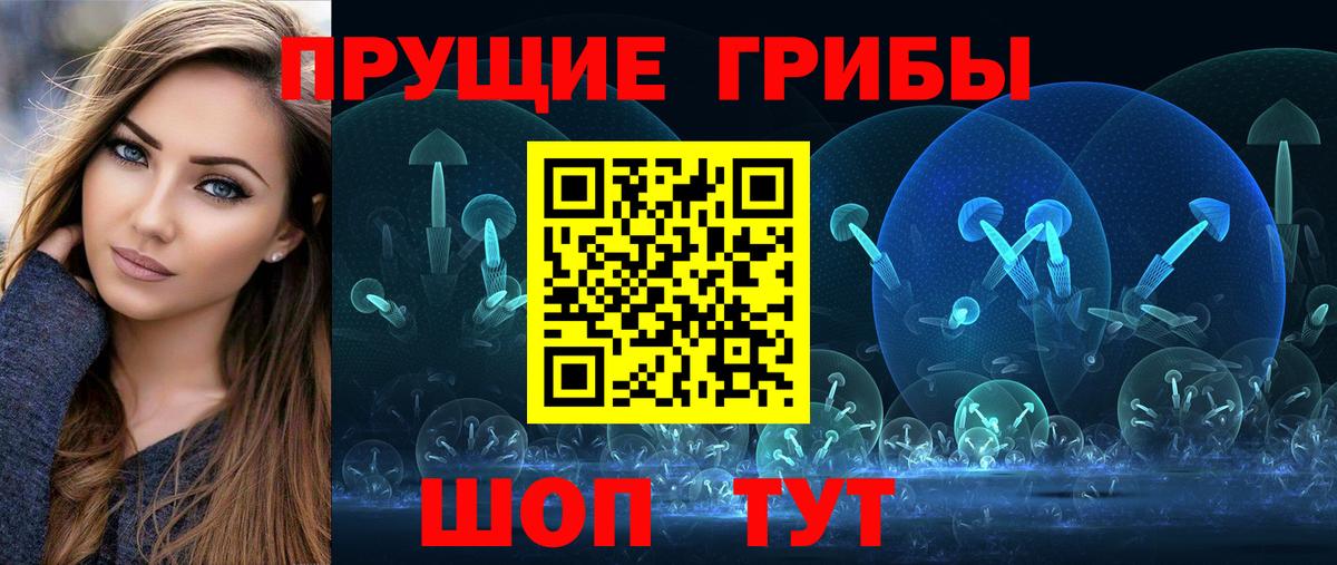 Псилоцибиновые грибы GOLDEN TEACHER Бузулук